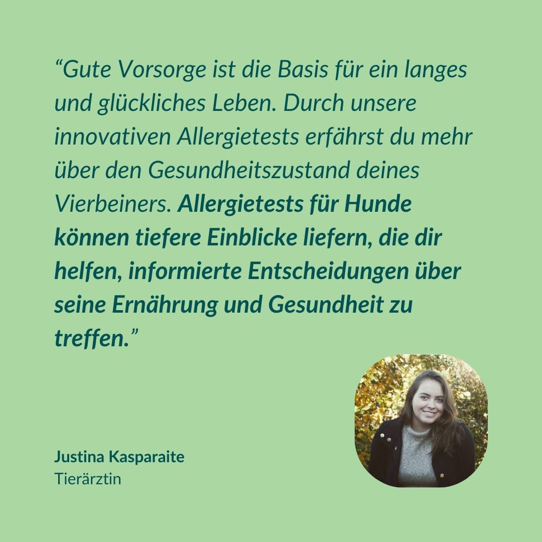 Vetevo Allergietest Konservierungsstoffe Hund – Endlich Klarheit bei Juckreiz, Durchfall &amp; Pfotenlecken | 42 Unverträglichkeiten testen - Woofshack