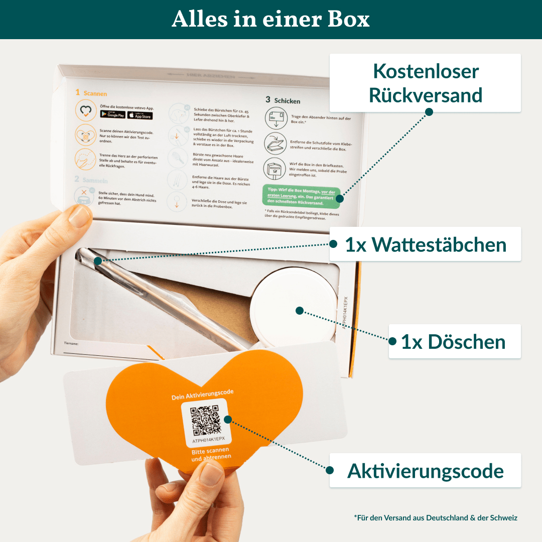 Vetevo Allergietest Konservierungsstoffe Hund – Endlich Klarheit bei Juckreiz, Durchfall &amp; Pfotenlecken | 42 Unverträglichkeiten testen - Woofshack