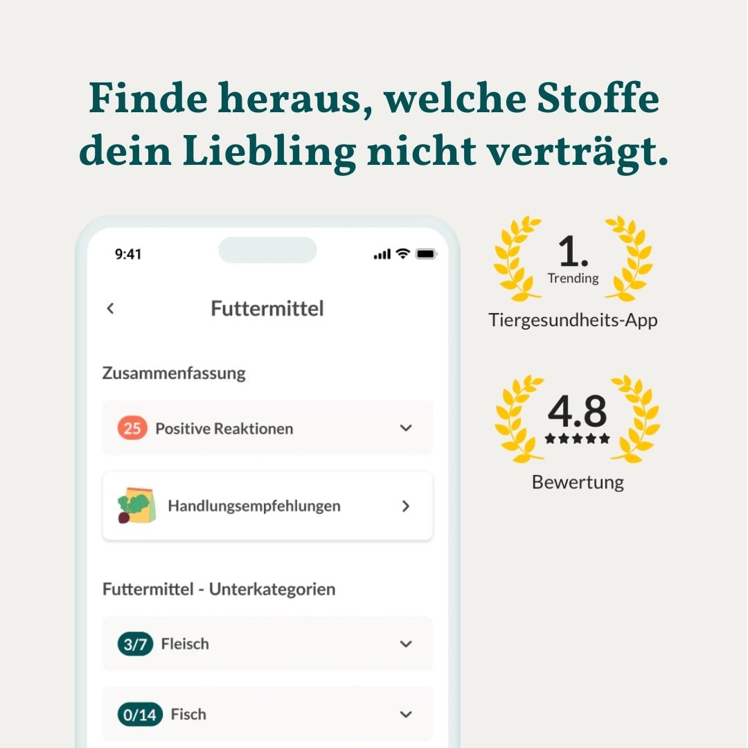 Vetevo Allergietest Konservierungsstoffe Hund – Endlich Klarheit bei Juckreiz, Durchfall &amp; Pfotenlecken | 42 Unverträglichkeiten testen - Woofshack