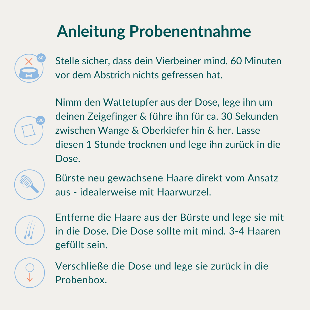 Vetevo Allergietest Konservierungsstoffe Hund – Endlich Klarheit bei Juckreiz, Durchfall &amp; Pfotenlecken | 42 Unverträglichkeiten testen - Woofshack