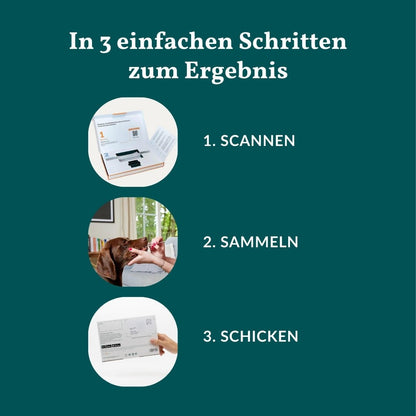 Vetevo Allergietest Konservierungsstoffe Hund – Endlich Klarheit bei Juckreiz, Durchfall &amp; Pfotenlecken | 42 Unverträglichkeiten testen - Woofshack