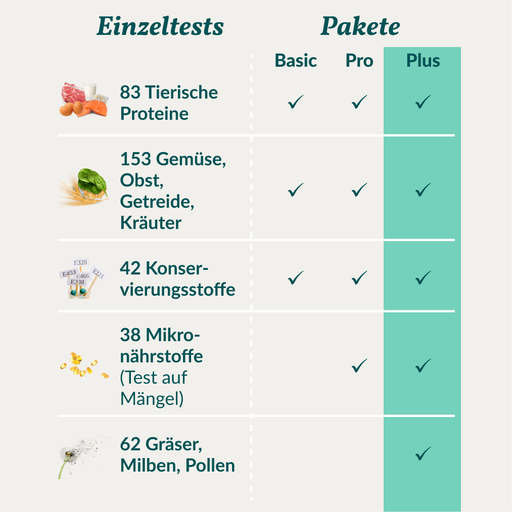 Vetevo Allergietest Plus Hund – 378 Unverträglichkeiten aufdecken &amp; Juckreiz, Durchfall und Pfotenlecken endlich verstehen - Woofshack