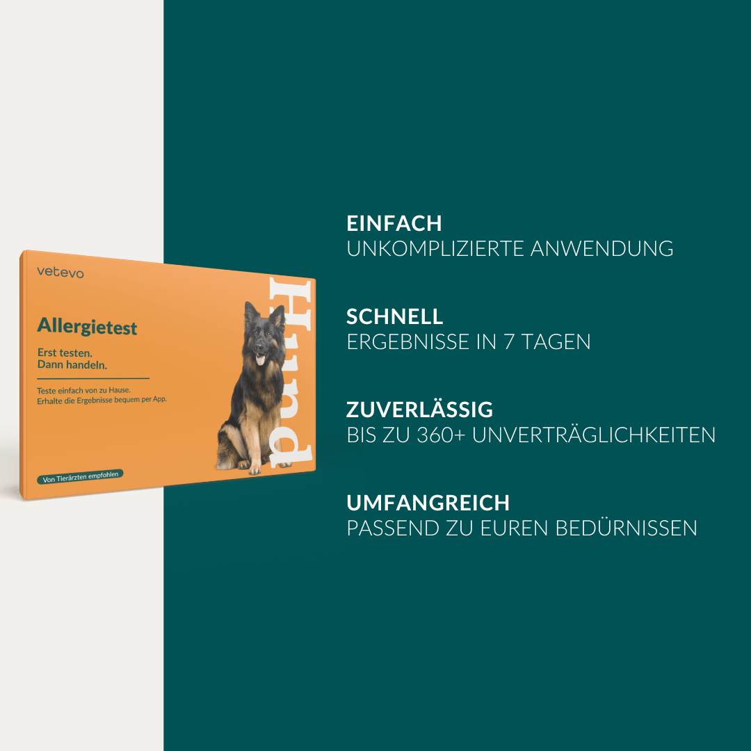 Vetevo Allergietest Plus Hund – 378 Unverträglichkeiten aufdecken &amp; Juckreiz, Durchfall und Pfotenlecken endlich verstehen - Woofshack