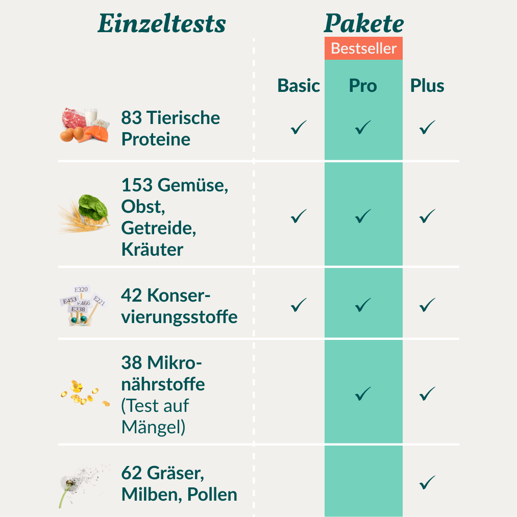 Vetevo Allergietest Pro Hund – 316 Futtermittel-Unverträglichkeiten &amp; Nährstoffmängel aufdecken | Endlich Klarheit bei Juckreiz, Hautproblemen &amp; Verdauungsbeschwerden - Woofshack