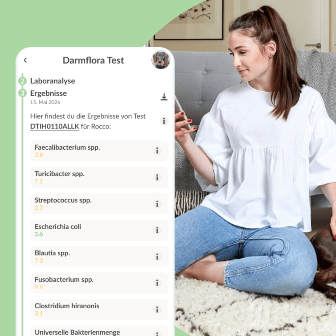 Vetevo Darmflora Test Basic für Hunde – Bakterienprofil, pH-Wert &amp; Futterrückstände analysieren | Bei Durchfall, Hautproblemen, Maulgeruch &amp; Allergien | Ergebnisse in 24h direkt aufs Handy - Woofshack