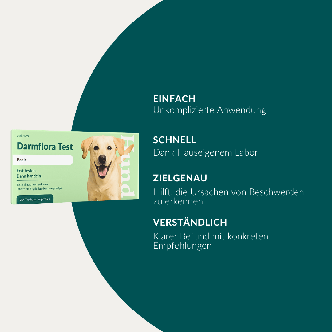 Vetevo Darmflora Test Basic für Hunde – Bakterienprofil, pH-Wert &amp; Futterrückstände analysieren | Bei Durchfall, Hautproblemen, Maulgeruch &amp; Allergien | Ergebnisse in 24h direkt aufs Handy - Woofshack