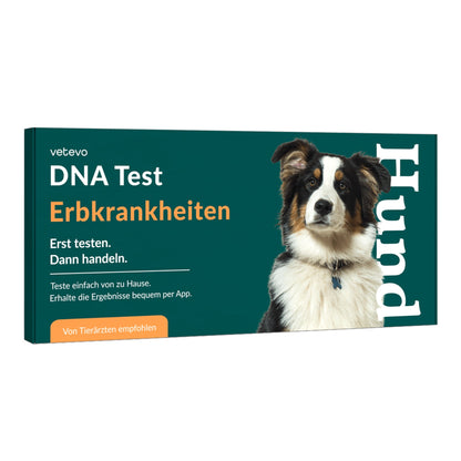 Vetevo DNA-Test Hund – 175+ Erbkrankheiten erkennen, bevor Symptome auftreten | Genetischer Gesundheitscheck - Woofshack