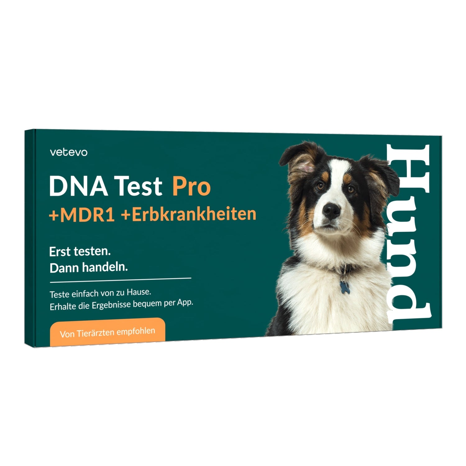 Vetevo DNA Test Hund Pro + MDR1 + Erbkrankheiten – Rassebestimmung für 350+ Rassen, 175 Erbkrankheiten &amp; MDR-1 Gendefekt – Das vollständige Gesundheitsprofil für deinen Hund - Woofshack