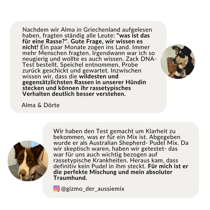 Vetevo DNA Test Hund Pro + MDR1 + Erbkrankheiten – Rassebestimmung für 350+ Rassen, 175 Erbkrankheiten &amp; MDR-1 Gendefekt – Das vollständige Gesundheitsprofil für deinen Hund - Woofshack