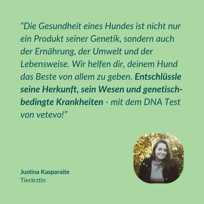 Vetevo DNA Test Hund Pro + MDR1 + Erbkrankheiten – Rassebestimmung für 350+ Rassen, 175 Erbkrankheiten &amp; MDR-1 Gendefekt – Das vollständige Gesundheitsprofil für deinen Hund - Woofshack