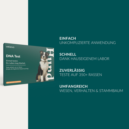 Vetevo DNA Test Hund Pro + MDR1 + Erbkrankheiten – Rassebestimmung für 350+ Rassen, 175 Erbkrankheiten &amp; MDR-1 Gendefekt – Das vollständige Gesundheitsprofil für deinen Hund - Woofshack