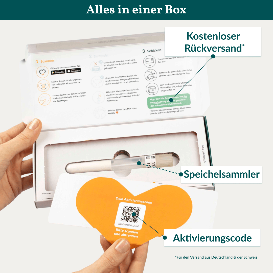 Vetevo DNA Test Hund Pro + MDR1 – Rassebestimmung Pro mit MDR-1 Gendefekt-Analyse | 350+ Rassen erkennen, Gesundheit &amp; Verhalten verstehen - Woofshack