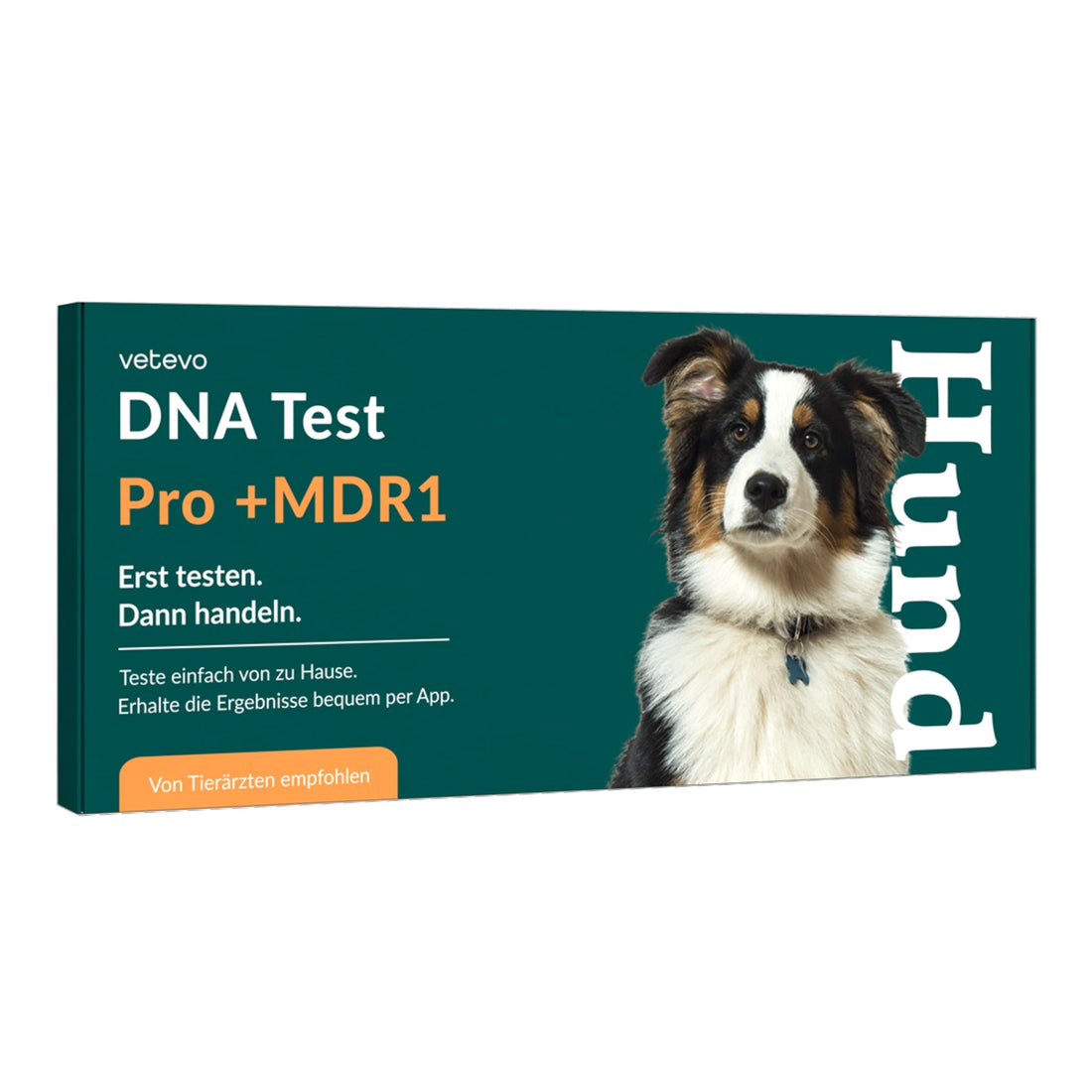 Vetevo DNA Test Hund Pro + MDR1 – Rassebestimmung Pro mit MDR-1 Gendefekt-Analyse | 350+ Rassen erkennen, Gesundheit &amp; Verhalten verstehen - Woofshack