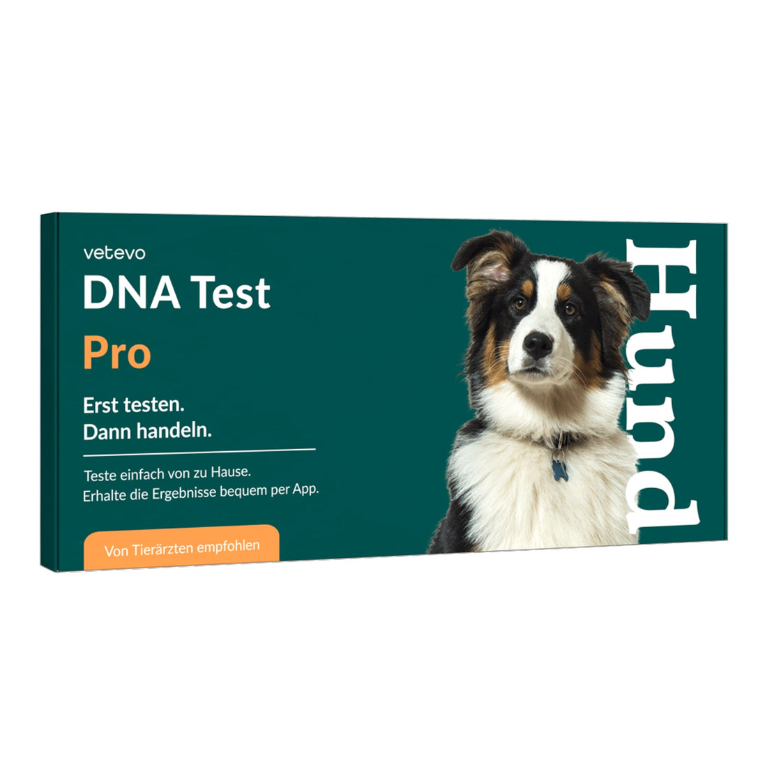 Vetevo DNA-Test Pro Hund – Rassebestimmung für 350+ Rassen | Stammbaum, Rasseportraits &amp; interaktiver Befund - Woofshack