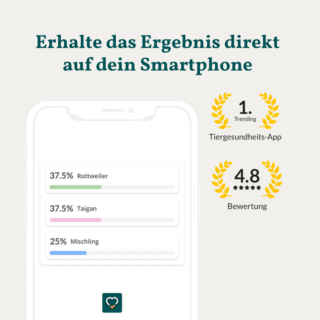 Vetevo DNA-Test Pro Hund – Rassebestimmung für 350+ Rassen | Stammbaum, Rasseportraits &amp; interaktiver Befund - Woofshack