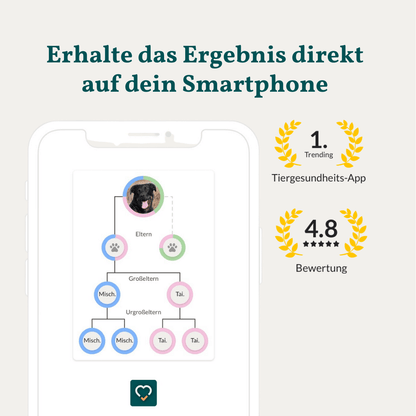 Vetevo DNA-Test Pro Hund – Rassebestimmung für 350+ Rassen | Stammbaum, Rasseportraits &amp; interaktiver Befund - Woofshack