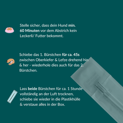 Vetevo DNA-Test Pro Hund – Rassebestimmung für 350+ Rassen | Stammbaum, Rasseportraits &amp; interaktiver Befund - Woofshack