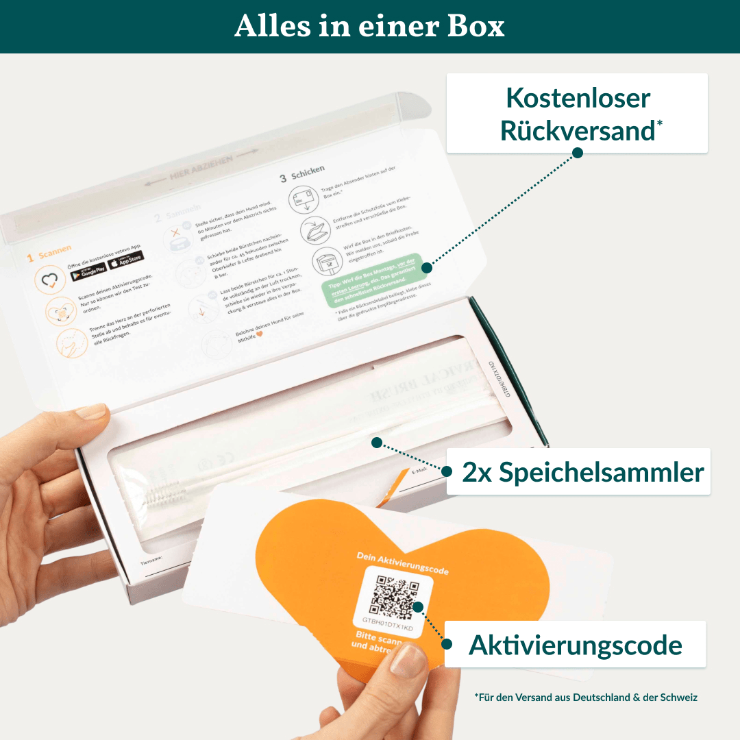 Vetevo DNA-Test Pro Hund – Rassebestimmung für 350+ Rassen | Stammbaum, Rasseportraits &amp; interaktiver Befund - Woofshack
