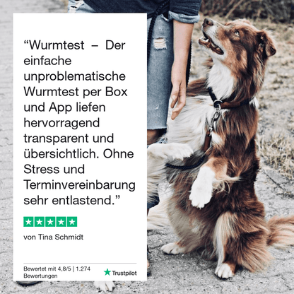 Vetevo Durchfalltest Hund – Schnelle Diagnose bei Durchfall, Erbrechen &amp; Bauchschmerzen | Testet auf Coronaviren, Parvoviren, Giardien &amp; Kryptosporidien - Woofshack