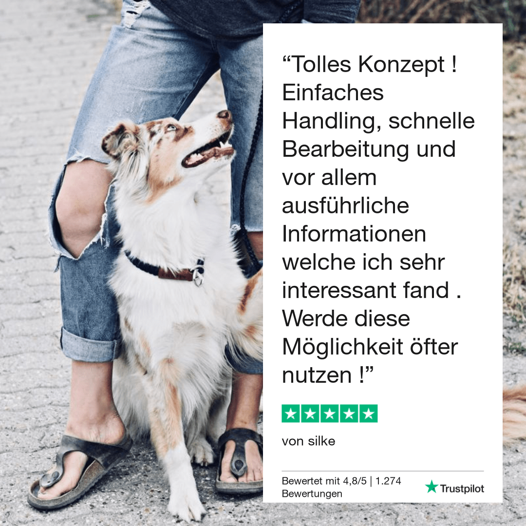 Vetevo Giardientest für Hunde – Zuverlässige Diagnose bei Durchfall &amp; Verdauungsproblemen | ELISA-Analyse | Ergebnis in 12 Stunden - Woofshack