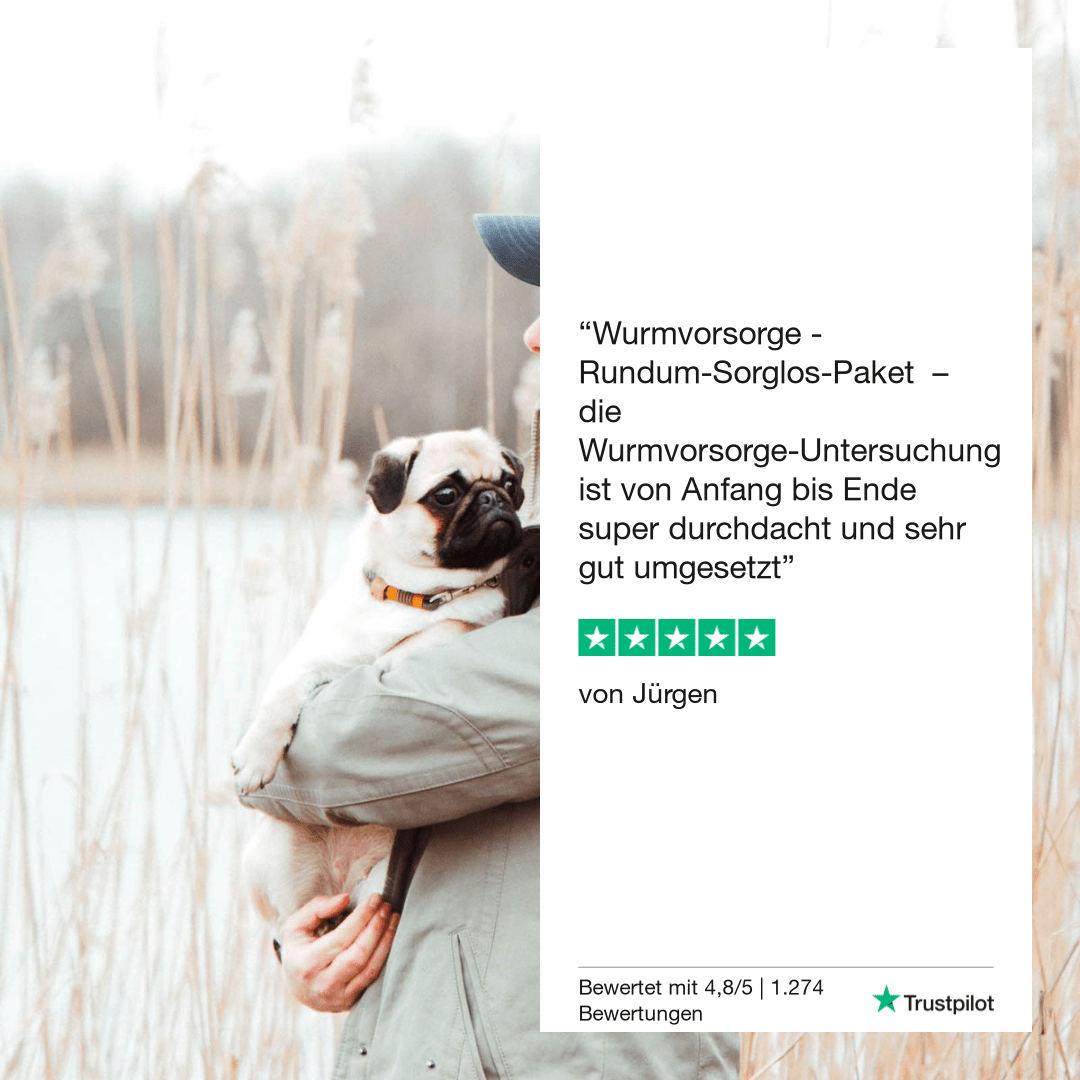 Vetevo Lungenwurmtest für Hunde – Zuverlässiger PCR- &amp; ELISA-Wurmtest zu Hause gegen Lungen- &amp; Herzwürmer (Angiostrongylus vasorum) - Woofshack