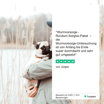 Vetevo Lungenwurmtest für Hunde – Zuverlässiger PCR- &amp; ELISA-Wurmtest zu Hause gegen Lungen- &amp; Herzwürmer (Angiostrongylus vasorum) - Woofshack