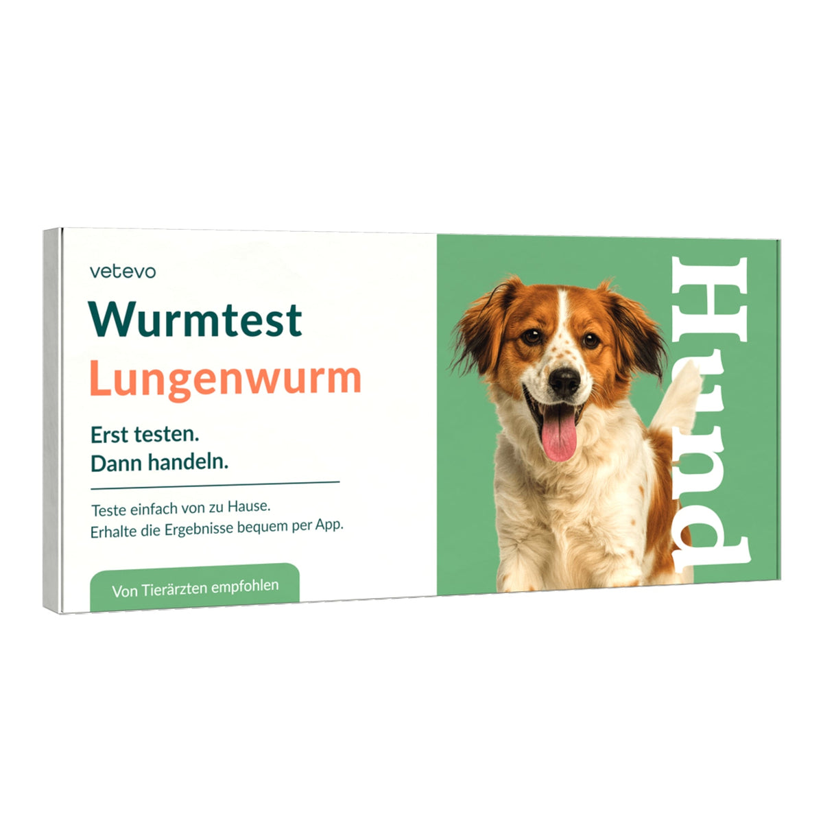 Vetevo Lungenwurmtest für Hunde – Zuverlässiger PCR- &amp; ELISA-Wurmtest zu Hause gegen Lungen- &amp; Herzwürmer (Angiostrongylus vasorum) - Woofshack