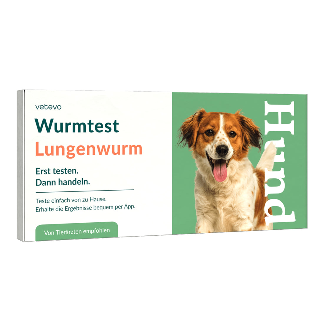 Vetevo Lungenwurmtest für Hunde – Zuverlässiger PCR- &amp; ELISA-Wurmtest zu Hause gegen Lungen- &amp; Herzwürmer (Angiostrongylus vasorum)