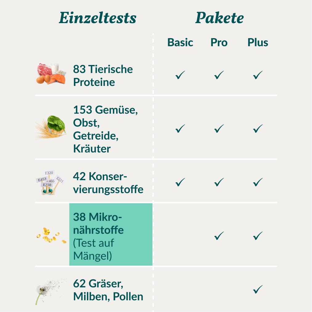 Vetevo Mikronährstofftest für Hunde – 38 Nährstoffe auf Mangel testen, Ergebnisse in 7 Tagen, tierärztlich ausgewertet - Woofshack