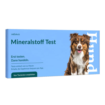 Vetevo Mineralstoff Test Plus Hund – Fellanalyse auf 19 Mineralstoffe, Spurenelemente &amp; toxische Metalle | Schwermetall-Belastung erkennen | Einfach zuhause testen