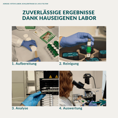 Vetevo Wurmtest Basic für Hunde – Zuverlässige Kotprobe auf 7 Wurmarten &amp; Parasiten, einfach zuhause - Woofshack