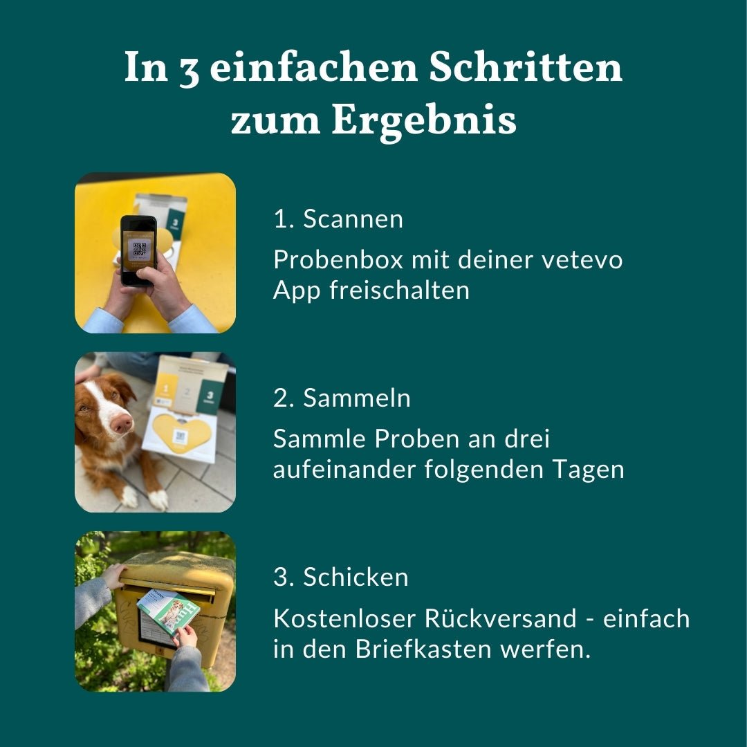 Vetevo Wurmtest Basic für Hunde – Zuverlässige Kotprobe auf 7 Wurmarten &amp; Parasiten, einfach zuhause - Woofshack
