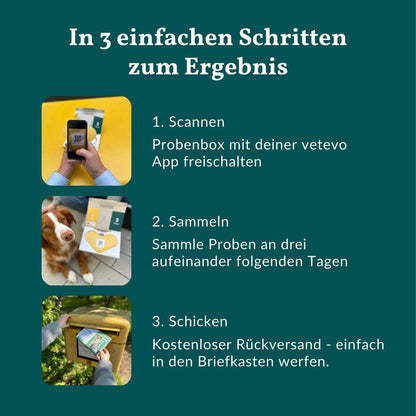 Vetevo Wurmtest Basic für Hunde – Zuverlässige Kotprobe auf 7 Wurmarten &amp; Parasiten, einfach zuhause - Woofshack