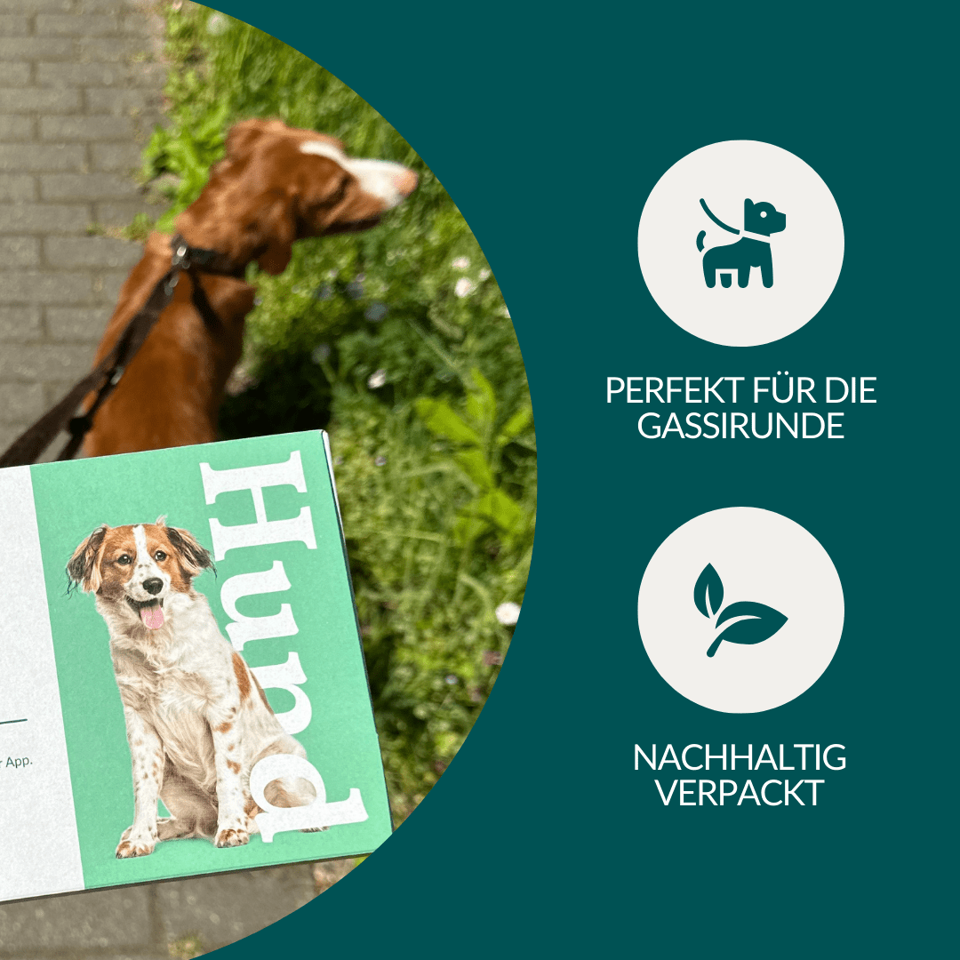Vetevo Wurmtest Basic für Hunde – Zuverlässige Kotprobe auf 7 Wurmarten &amp; Parasiten, einfach zuhause - Woofshack