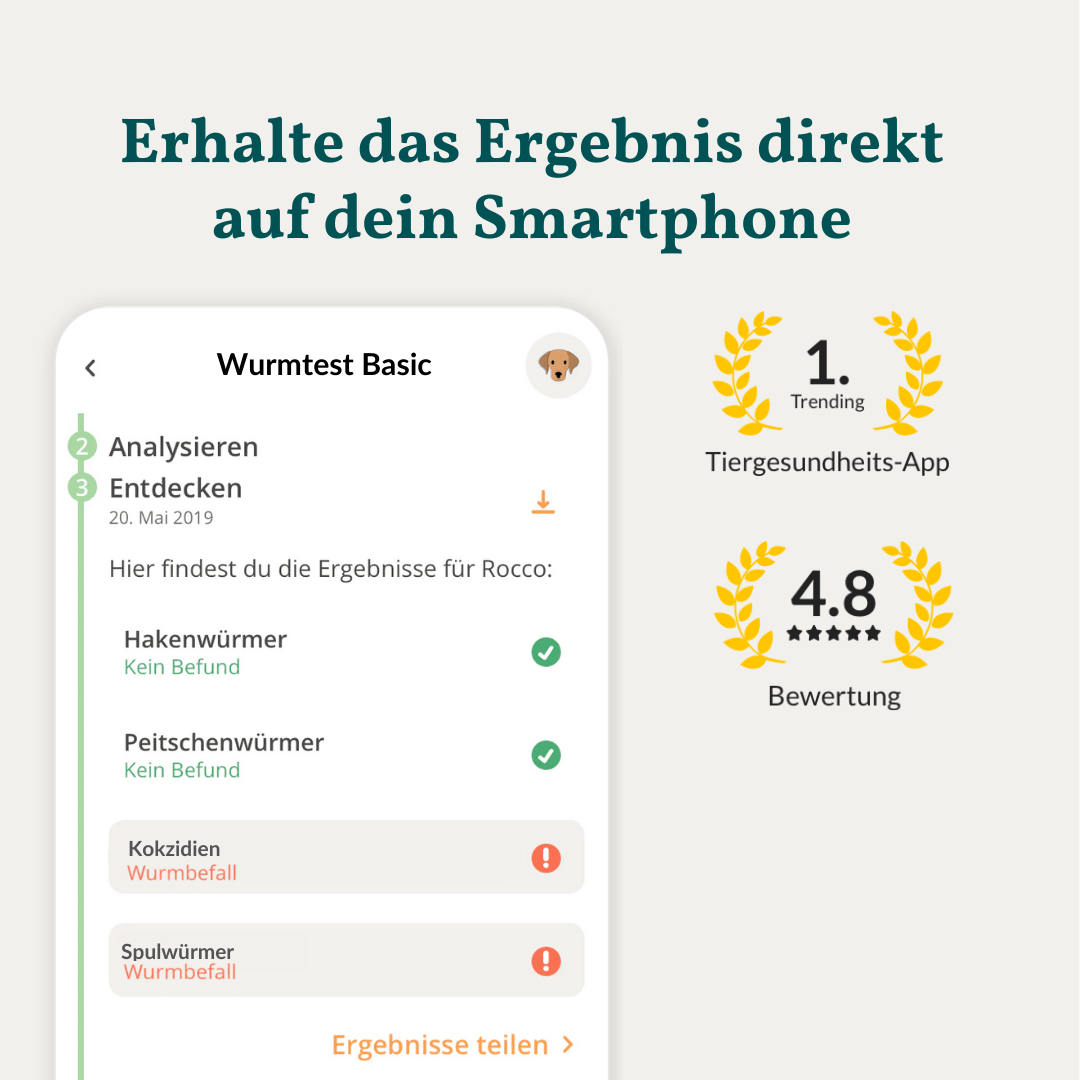 Vetevo Wurmtest Basic für Hunde – Zuverlässige Kotprobe auf 7 Wurmarten &amp; Parasiten, einfach zuhause - Woofshack