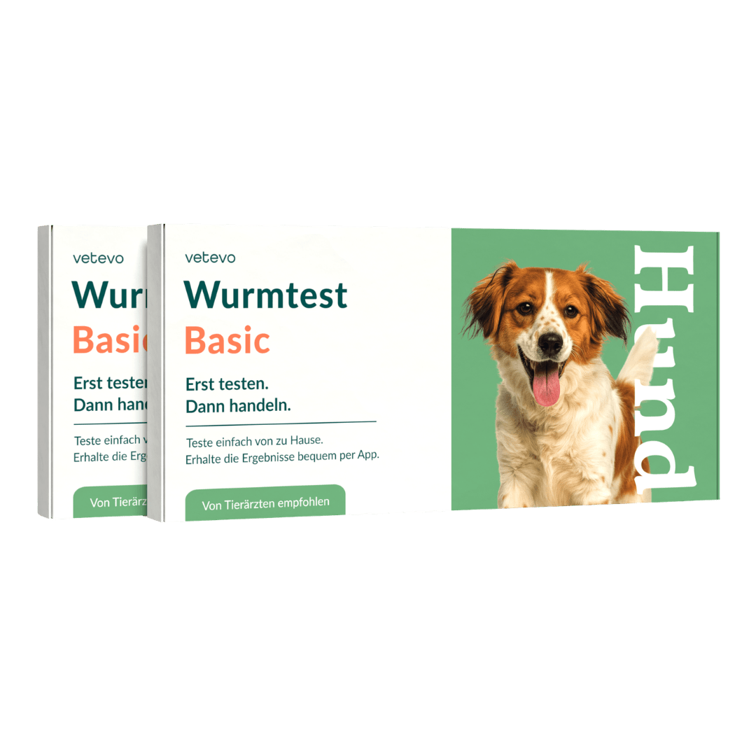 Vetevo Wurmtest Basic für Hunde – Zuverlässige Kotprobe auf 7 Wurmarten &amp; Parasiten, einfach zuhause - Woofshack