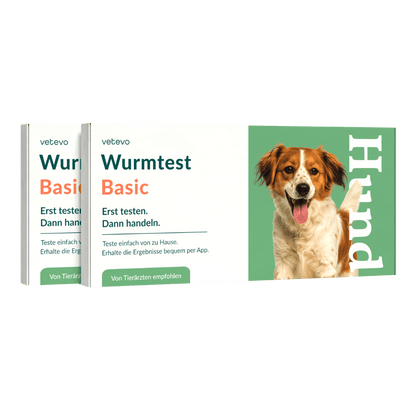 Vetevo Wurmtest Basic für Hunde – Zuverlässige Kotprobe auf 7 Wurmarten &amp; Parasiten, einfach zuhause - Woofshack