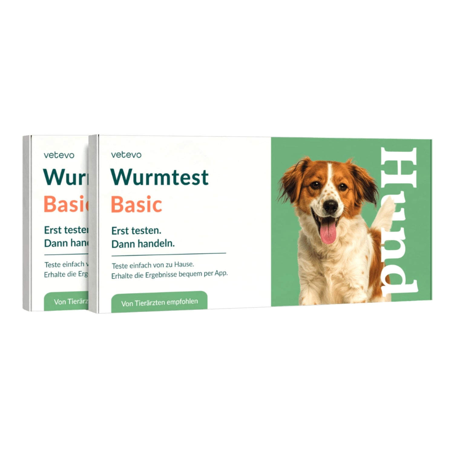 Vetevo Wurmtest Basic für Hunde – Zuverlässige Kotprobe auf 7 Wurmarten &amp; Parasiten, einfach zuhause - Woofshack
