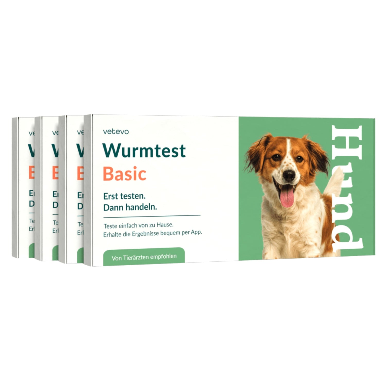 Vetevo Wurmtest Basic für Hunde – Zuverlässige Kotprobe auf 7 Wurmarten &amp; Parasiten, einfach zuhause - Woofshack