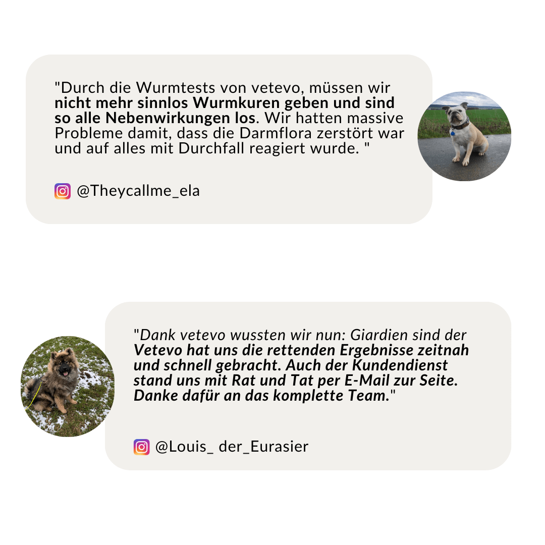 Vetevo Wurmtest Basic für Hunde – Zuverlässige Kotprobe auf 7 Wurmarten &amp; Parasiten, einfach zuhause - Woofshack
