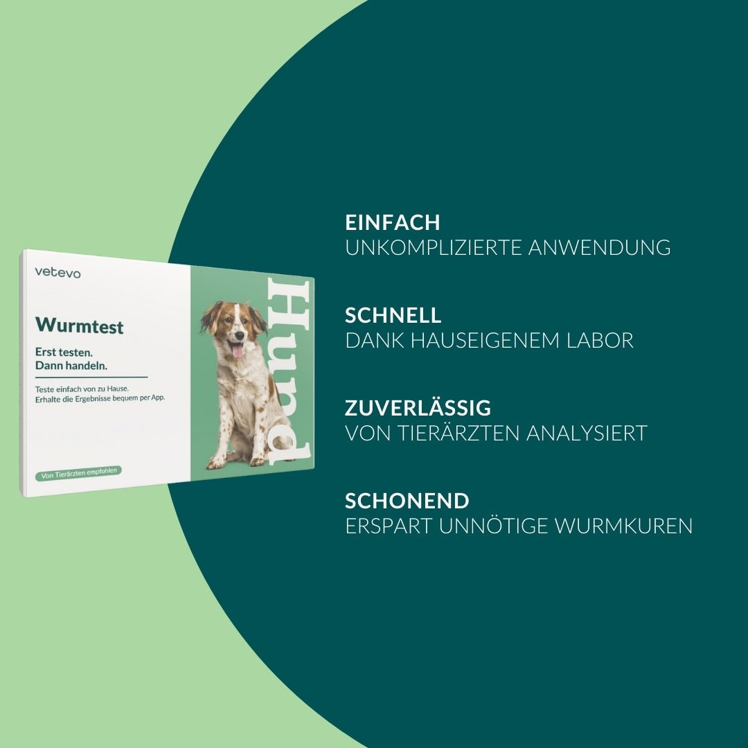 Vetevo Wurmtest Basic für Hunde – Zuverlässige Kotprobe auf 7 Wurmarten &amp; Parasiten, einfach zuhause - Woofshack