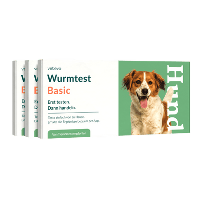Vetevo Wurmtest Basic für Hunde – Zuverlässige Kotprobe auf 7 Wurmarten &amp; Parasiten, einfach zuhause - Woofshack