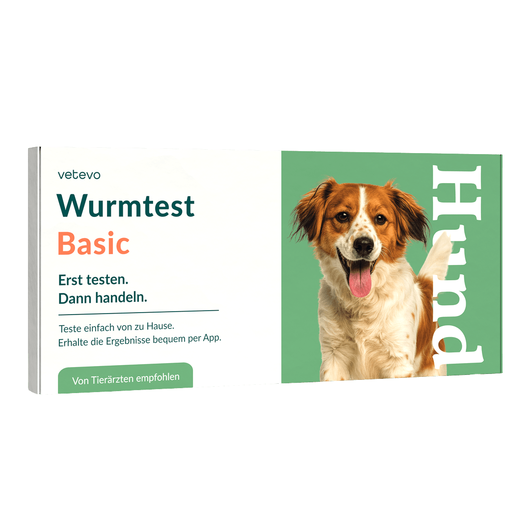 Vetevo Wurmtest Basic für Hunde – Zuverlässige Kotprobe auf 7 Wurmarten &amp; Parasiten, einfach zuhause - Woofshack