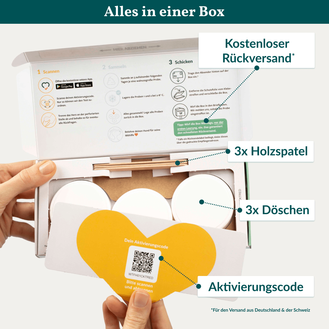 Vetevo Wurmtest Plus Hund – Zuverlässiger Kottest auf 9 Parasiten inkl. Lungenwürmer &amp; Giardien - Woofshack