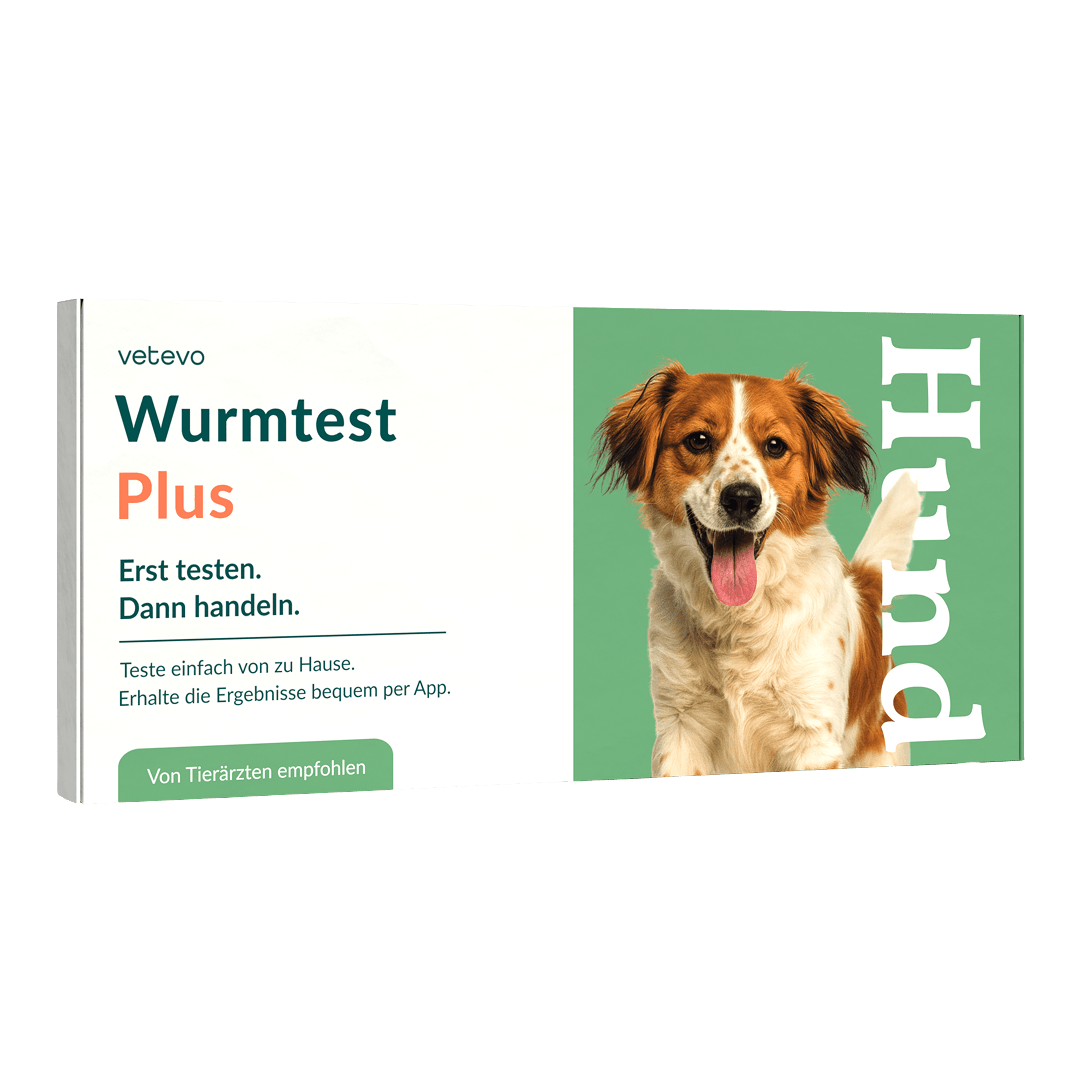 Vetevo Wurmtest Plus Hund – Zuverlässiger Kottest auf 9 Parasiten inkl. Lungenwürmer &amp; Giardien - Woofshack