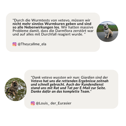 Vetevo Wurmtest Plus Hund – Zuverlässiger Kottest auf 9 Parasiten inkl. Lungenwürmer &amp; Giardien - Woofshack