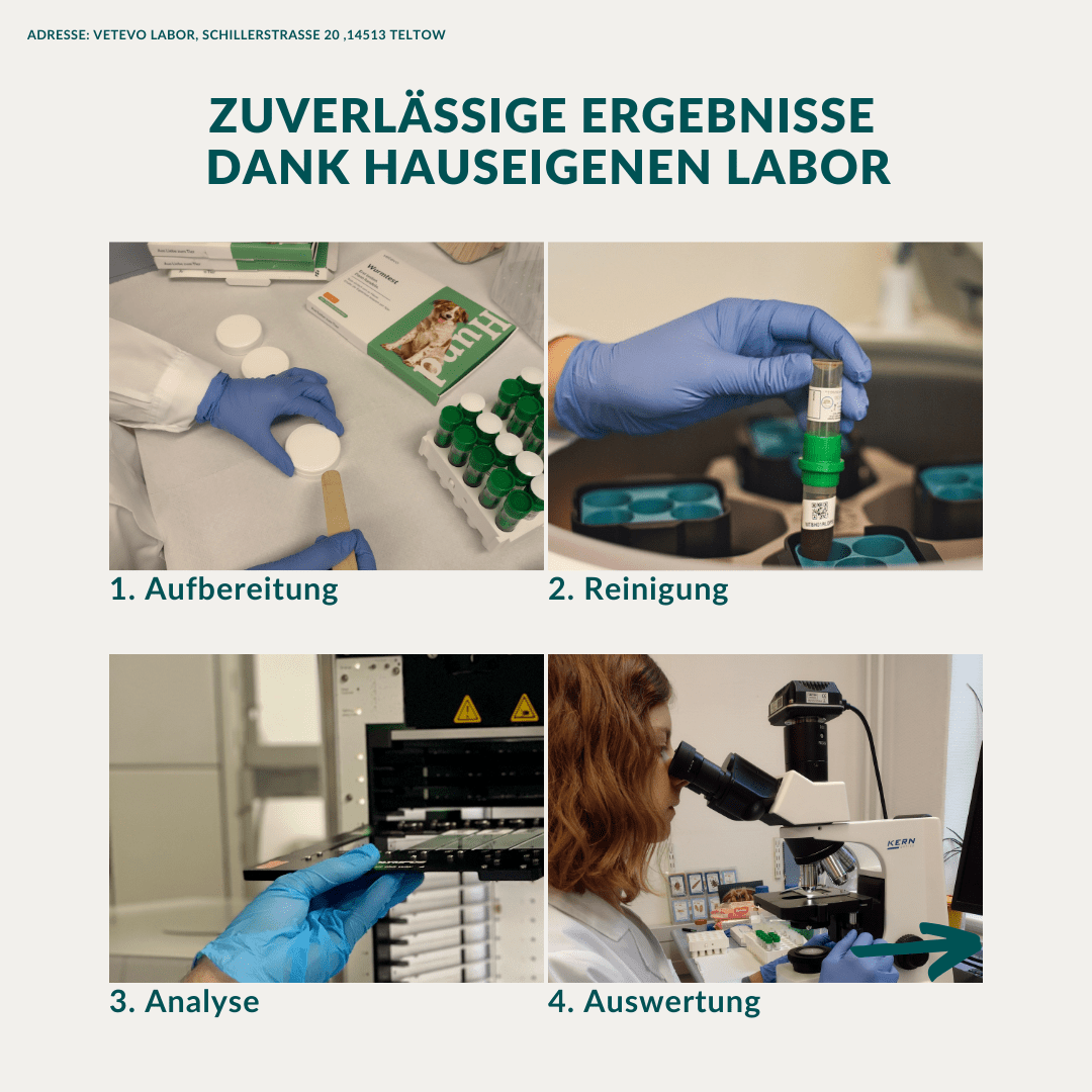 Vetevo Wurmtest Plus Hund – Zuverlässiger Kottest auf 9 Parasiten inkl. Lungenwürmer &amp; Giardien - Woofshack