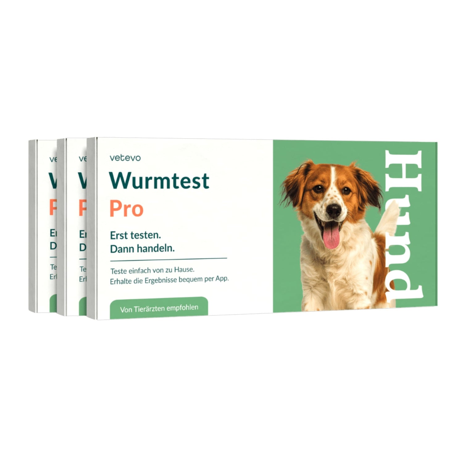 Vetevo Wurmtest Pro Hund – Zuverlässiger Kottest auf 7 Wurmarten &amp; Giardien, bequem von zu Hause - Woofshack