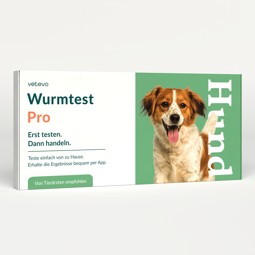 Vetevo Wurmtest Pro Hund – Zuverlässiger Kottest auf 7 Wurmarten &amp; Giardien, bequem von zu Hause - Woofshack