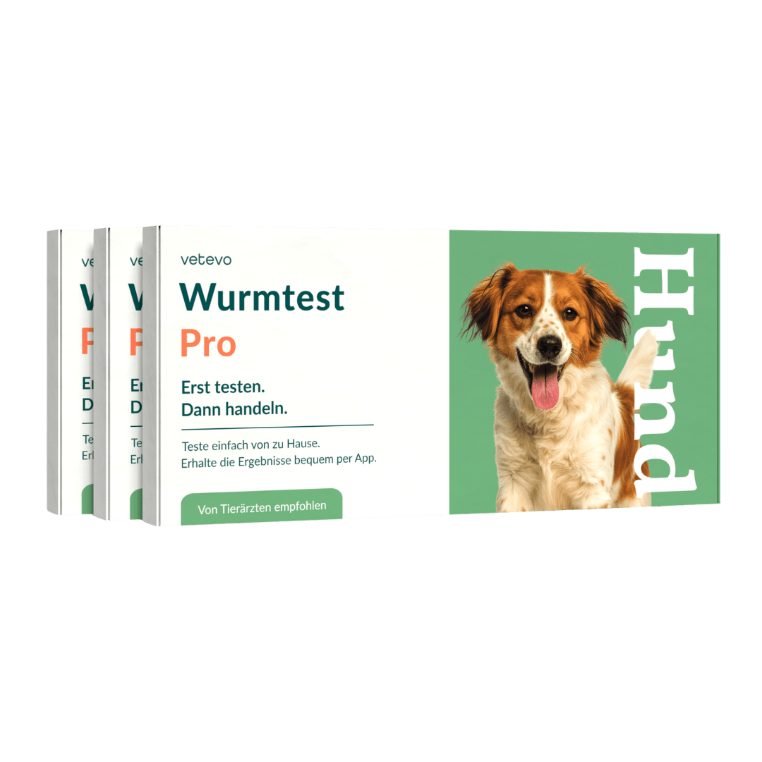 Vetevo Wurmtest Pro Hund – Zuverlässiger Kottest auf 7 Wurmarten &amp; Giardien, bequem von zu Hause - Woofshack